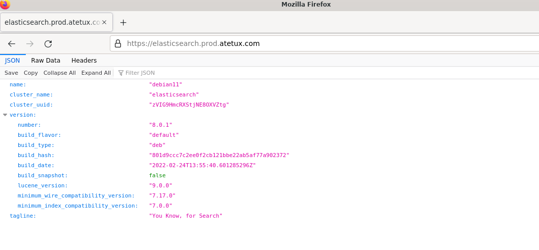 elasticsearch from browser https