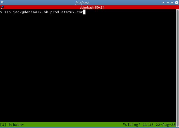 tmux then ssh